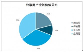 2021-2027年中國重點城市物聯網應用服務行業深度調查與投資前景分析報告